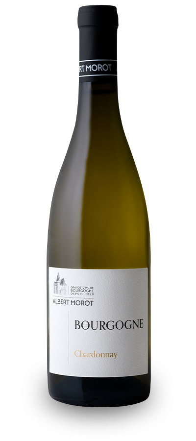 BOURGOGNE Chardonnay 2025