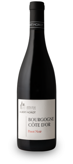 BOURGOGNE Côte d'Or Pinot Noir 2024
