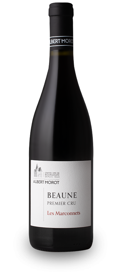 BEAUNE 1er Cru « les Marconnets » 2022