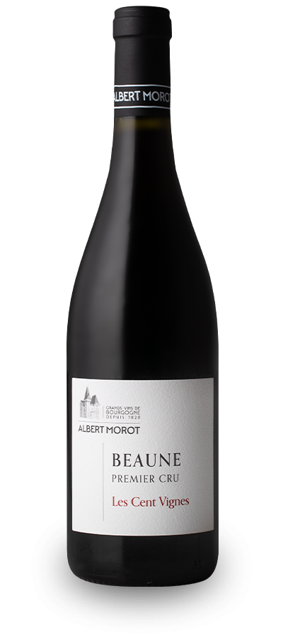 BEAUNE 1er Cru « les Cent Vignes » 2022 - Magnum