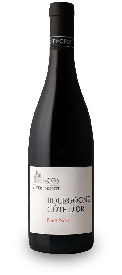 BOURGOGNE Côte d'Or Pinot Noir 2023